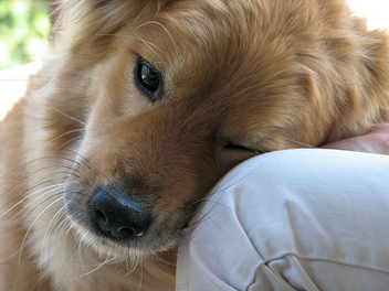 Love - Kostenloses image #307679